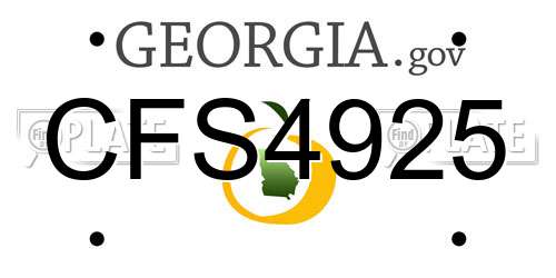 CFS4925 Georgia License Plate