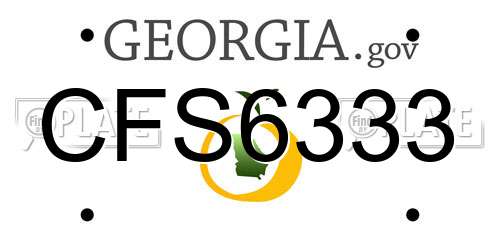 CFS6333 Georgia License Plate
