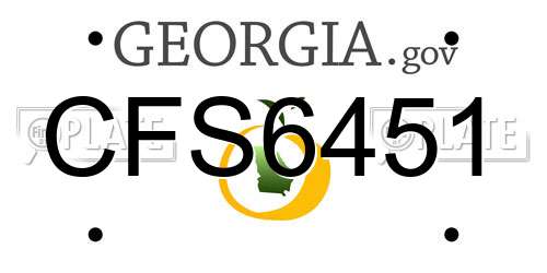 CFS6451 Georgia License Plate