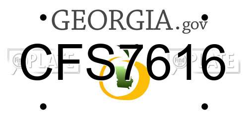 CFS7616 Georgia License Plate
