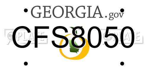 CFS8050 Georgia License Plate