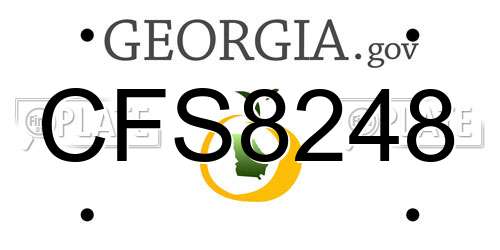 CFS8248 Georgia License Plate