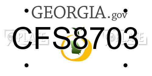 CFS8703 Georgia License Plate