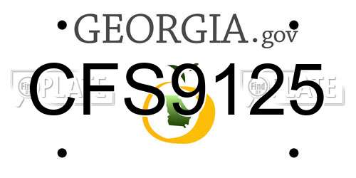 CFS9125 Georgia License Plate