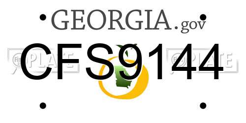 CFS9144 Georgia License Plate