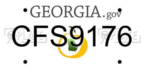 CFS9176 Georgia License Plate