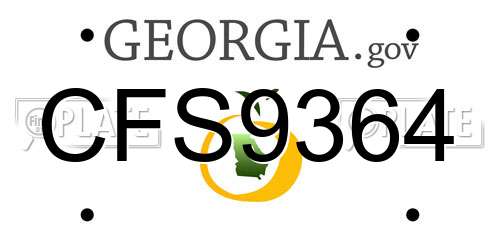 CFS9364 Georgia License Plate