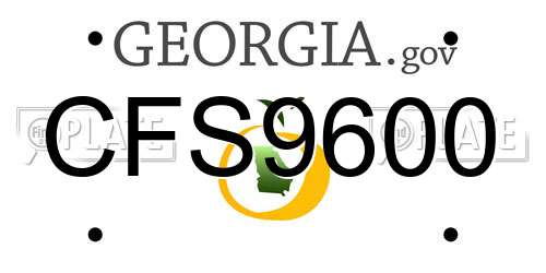CFS9600 Georgia License Plate