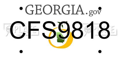 CFS9818 Georgia License Plate
