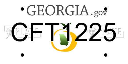 CFT1225 Georgia License Plate