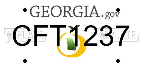 CFT1237 Georgia License Plate