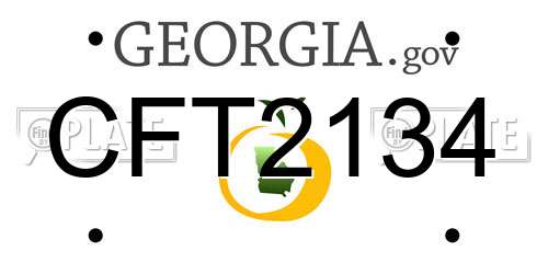 CFT2134 Georgia License Plate