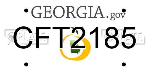 CFT2185 Georgia License Plate