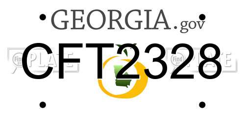 CFT2328 Georgia License Plate
