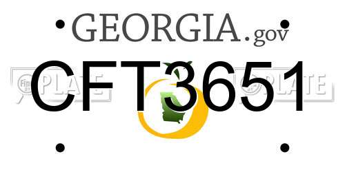 CFT3651 Georgia License Plate