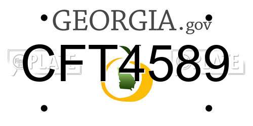 CFT4589 Georgia License Plate