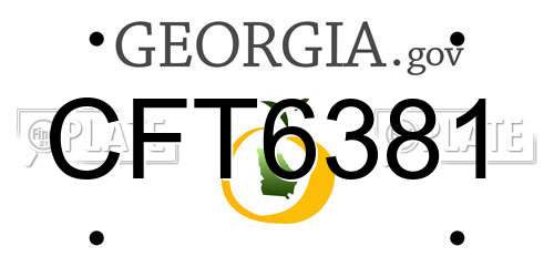 CFT6381 Georgia License Plate