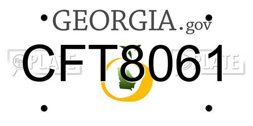CFT8061 Georgia License Plate