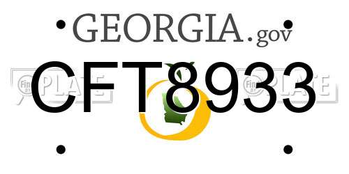 CFT8933 Georgia License Plate