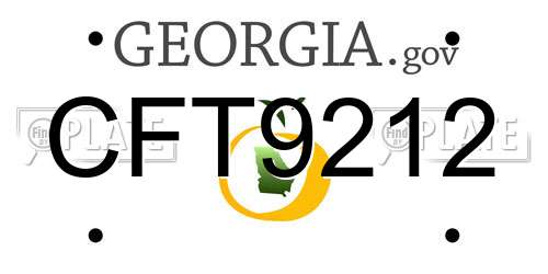 CFT9212 Georgia License Plate