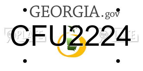 CFU2224 Georgia License Plate