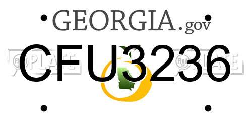 CFU3236 Georgia License Plate