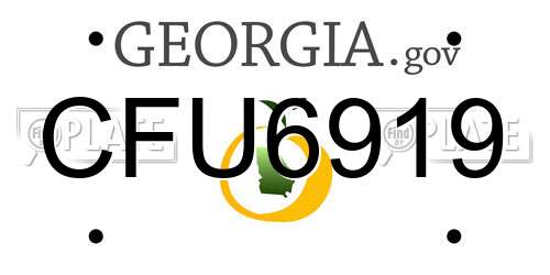 CFU6919 Georgia License Plate