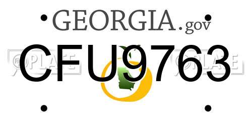 CFU9763 Georgia License Plate
