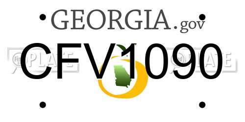 CFV1090 Georgia License Plate