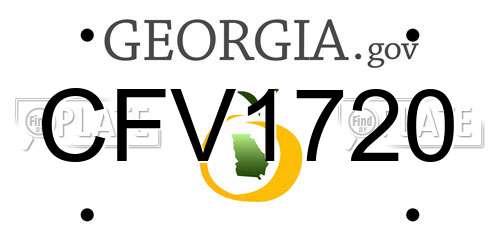 CFV1720 Georgia License Plate