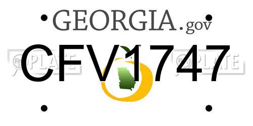 CFV1747 Georgia License Plate
