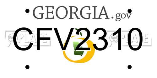 CFV2310 Georgia License Plate