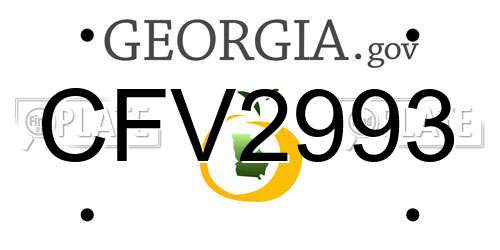 CFV2993 Georgia License Plate
