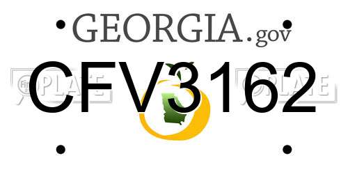 CFV3162 Georgia License Plate