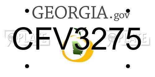 CFV3275 Georgia License Plate