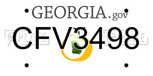 CFV3498 Georgia License Plate