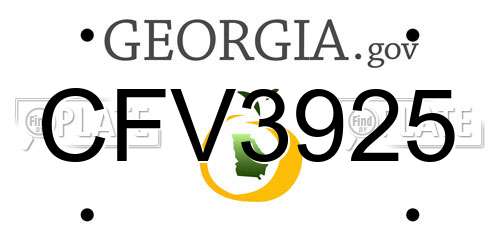 CFV3925 Georgia License Plate