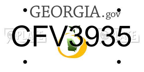 CFV3935 Georgia License Plate