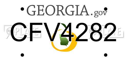 CFV4282 Georgia License Plate