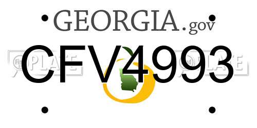 CFV4993 Georgia License Plate