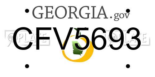 CFV5693 Georgia License Plate