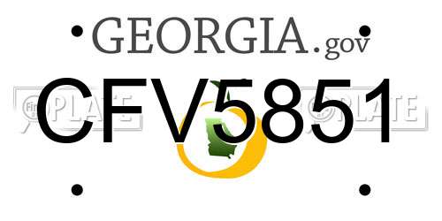 CFV5851 Georgia License Plate