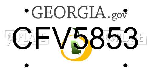 CFV5853 Georgia License Plate