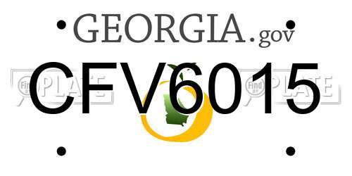 CFV6015 Georgia License Plate