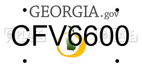 CFV6600 Georgia License Plate