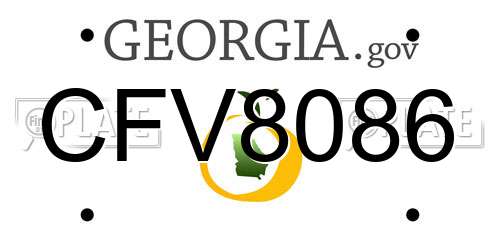 CFV8086 Georgia License Plate