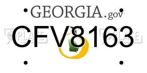 CFV8163 Georgia License Plate
