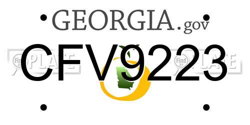 CFV9223 Georgia License Plate