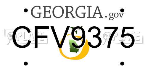 CFV9375 Georgia License Plate