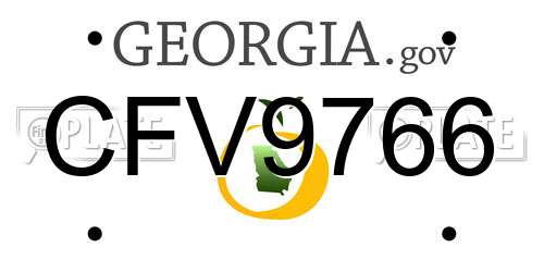 CFV9766 Georgia License Plate